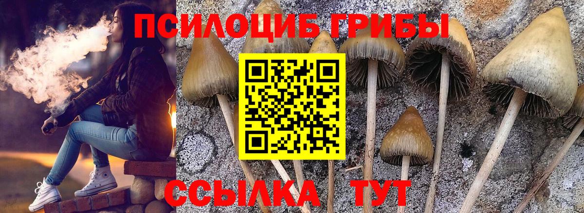 Галлюциногенные грибы Cubensis Сатка