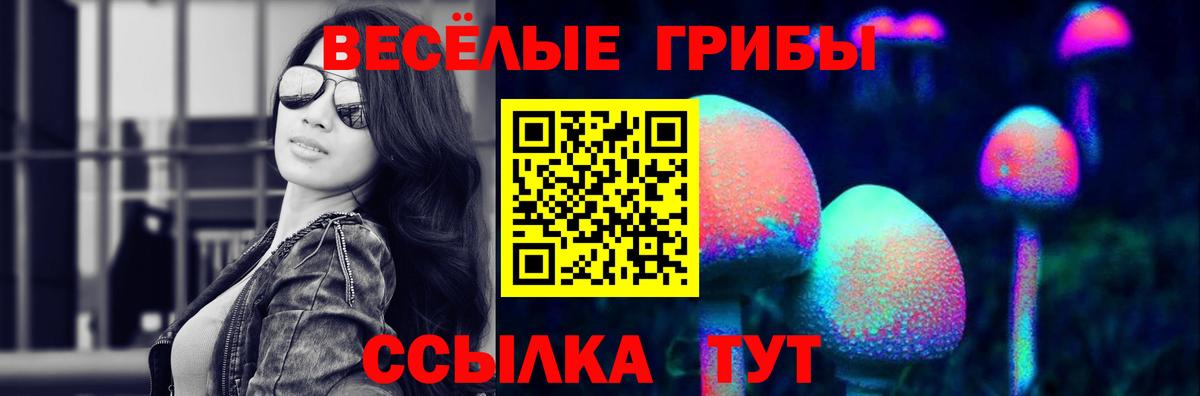 Псилоцибиновые грибы ЛСД  дарнет шоп  Сатка  Вход с VPN 